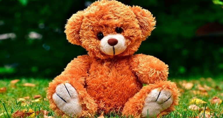 Best teddy bear