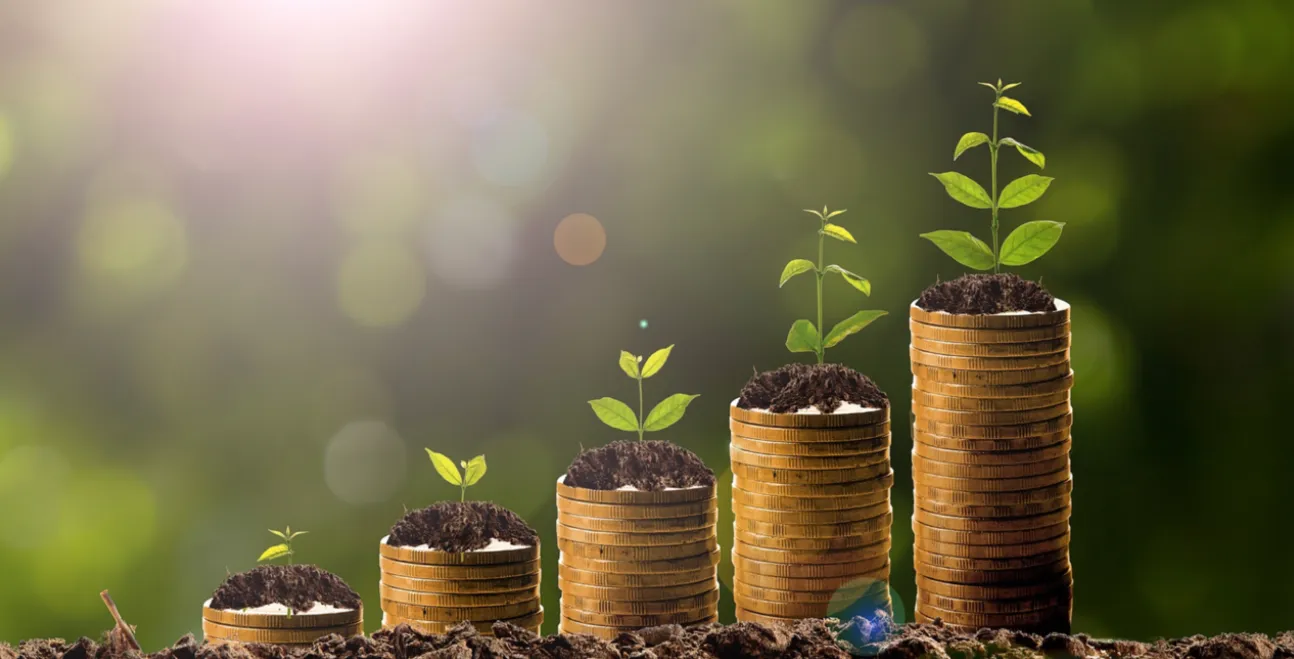 Sustainable Business Strategies: How Companies Can Profit While Going Green