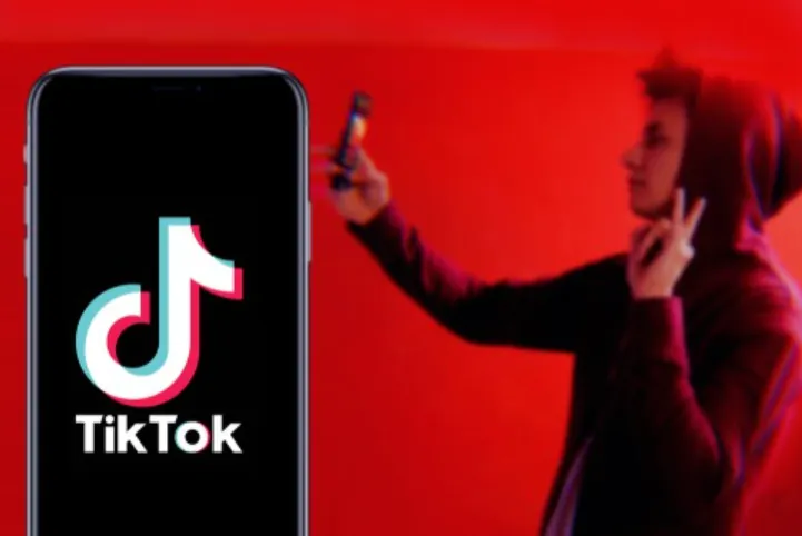 What Makes A TikTok Like Count Predictive Of Virality
